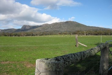 Manyat Peak Cottages Carnaby