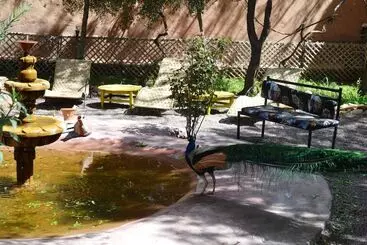 پانسیون Ecolodge La Palmeraie