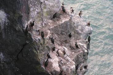 Pen Llyn Quarryman's Cottage