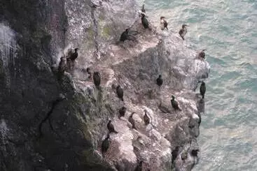 Pen Llyn Quarryman's Cottage