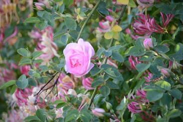 Degebergagården B&b