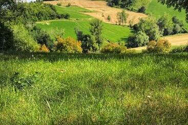 Отель Agriturismo Il Colore Del Grano
