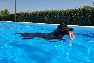 ホテル Agriturismo Delizia D'este