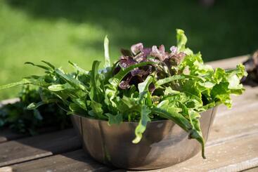 فندق Mayer   Wirtshaus Und Dorf