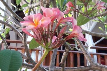 펜션 Villa Marakuya