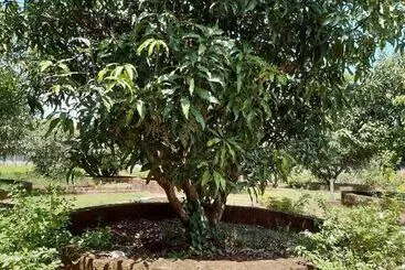 Aranya Kutir Resort Hostel