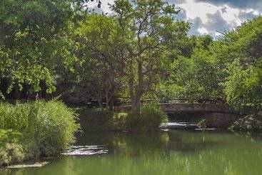 בית מלון כפרי Littlebush Private Lodge