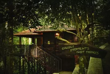 Otel Wild Planet Resort