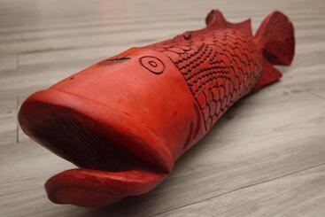 בית מלון כפרי Coral Divers