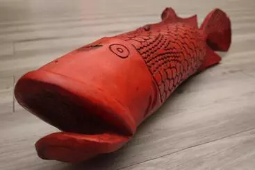 Hotelli Coral Divers