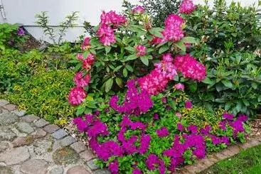 Hotelli Pensjonat Dworek Polski