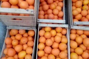 בית מלון כפרי Agriturismo Serra Pernice