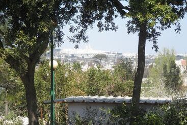 تختخواب و صبحانه Eden Park