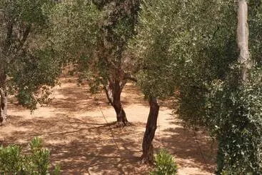 Aparthotel A Casa Di Amici