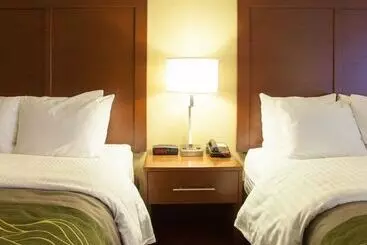 Отель Quality Inn & Suites I40 East