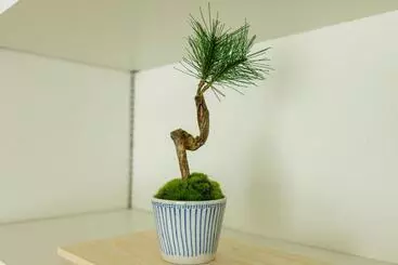 Huoneistohotelli Zens Skytree