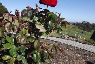 A Cottage With A View At Tudor Ridge