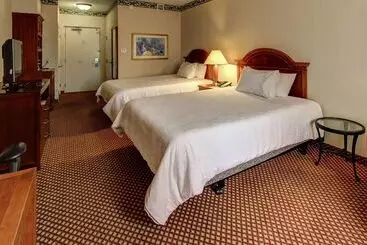 Szálloda Hilton Garden Inn Williamsburg