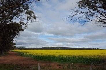 酒店 The York Palace Accommodation