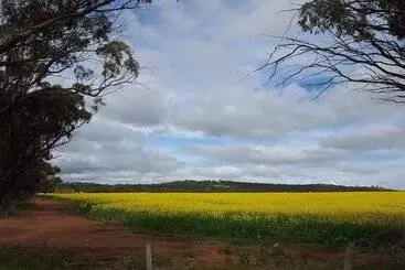 Hotel The York Palace Accommodation