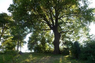 Bed and Breakfast Nicoletta Spirito Del Tibet