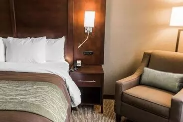 Otel Comfort Inn & Suites Pharr/mcallen