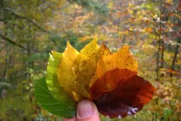 호텔 Valle De Izas