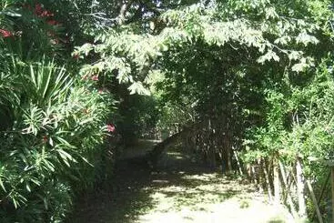 Agriturismo La Casa Della Lavanda  Il Casale