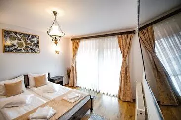 ペンション Casa Dives  Transylvania