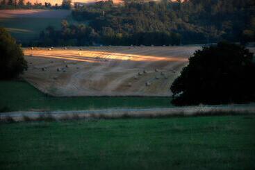 B&b Le Vieux Marronnier