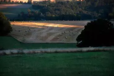 B&b Le Vieux Marronnier