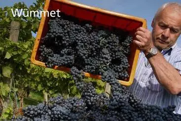 Hotel Kartause Ittingen