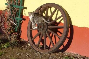 펜션 Land Gut Berlinchen