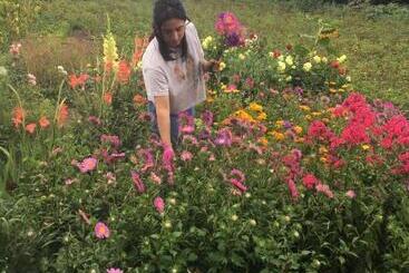 ホテル Guesthouse Chambarak