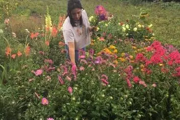 ホテル Guesthouse Chambarak