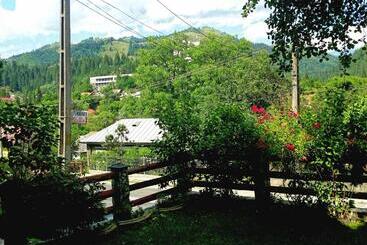 پانسیون Vila Giulia Voineasa