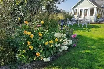 Tig Na Coille B&b Country House