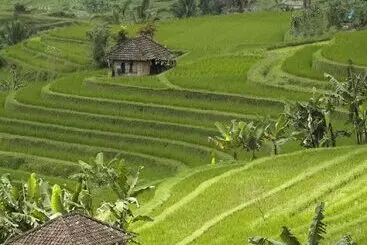 Отель Cempaka Belimbing Villa