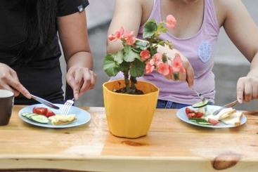 Mongolian Vision Tours   Hostel