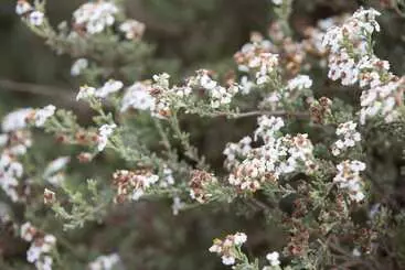 Majatalo The Living Collective