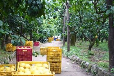 בית מלון כפרי Agriturismo Il Giardino Di Vigliano