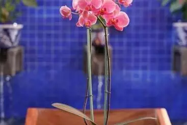 ベッドアンドブレックファースト Casa Alfareros