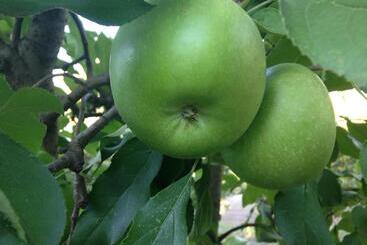 ペンション Farview Guest Accommodation