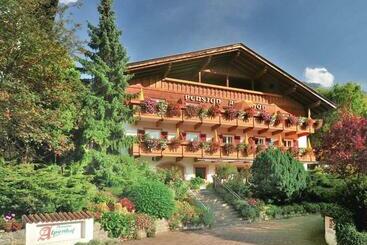 酒店 Pension Alpenhof