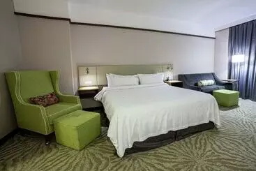 Отель Hilton Garden Inn Montreal Airport