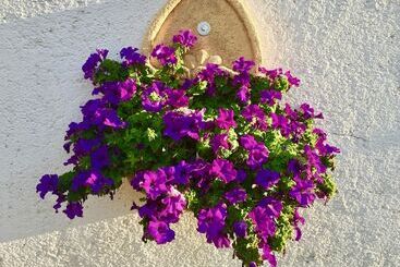 ペンション Ca La Somara