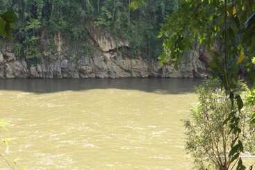 پانسیون Sam's Jungle Guesthouse