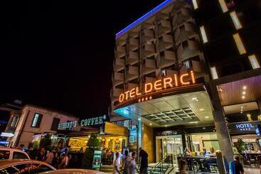 בית מלון כפרי Derici