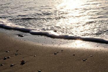 Hampton Home B&b Suites