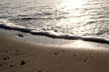 Hampton Home B&b Suites